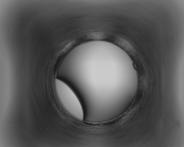 X0000086770358200704130841