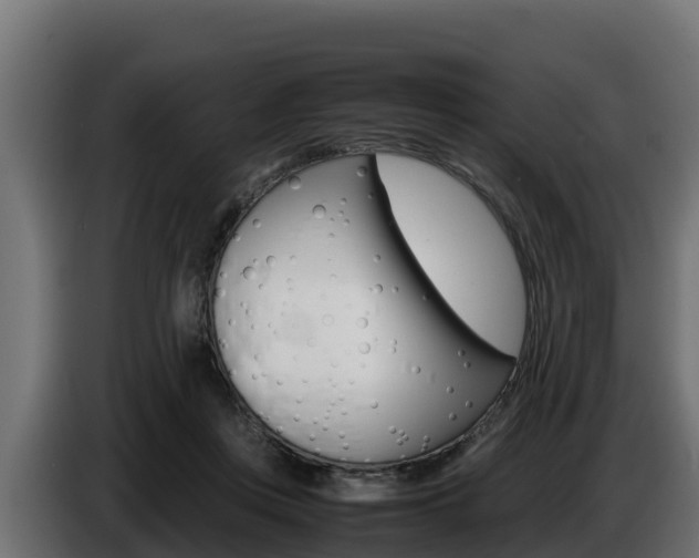 X0000086770359200704130841