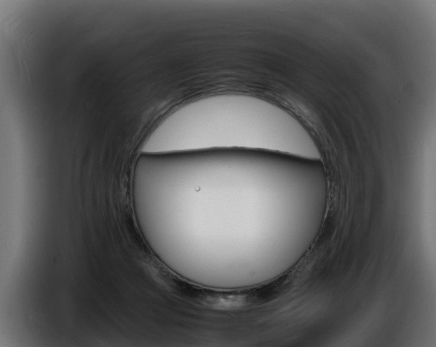X0000086770361200704130842