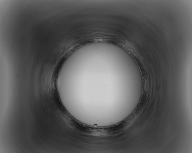 X0000086770363200704130842