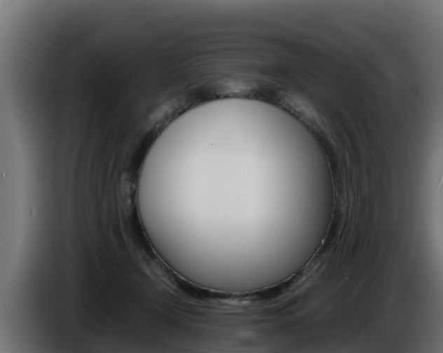 X0000086770366200704130842