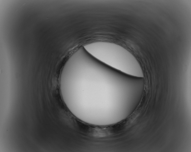 X0000086770367200704130842