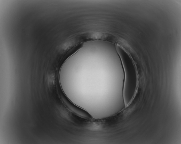 X0000086770368200704130842