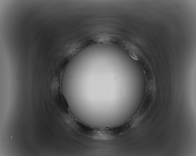 X0000086770372200704130842