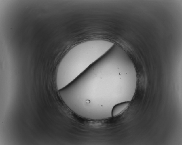 X0000086770373200704130842