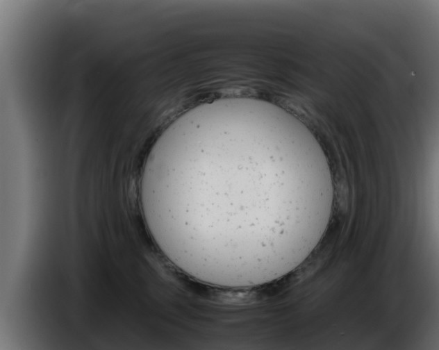 X0000086770375200704130842