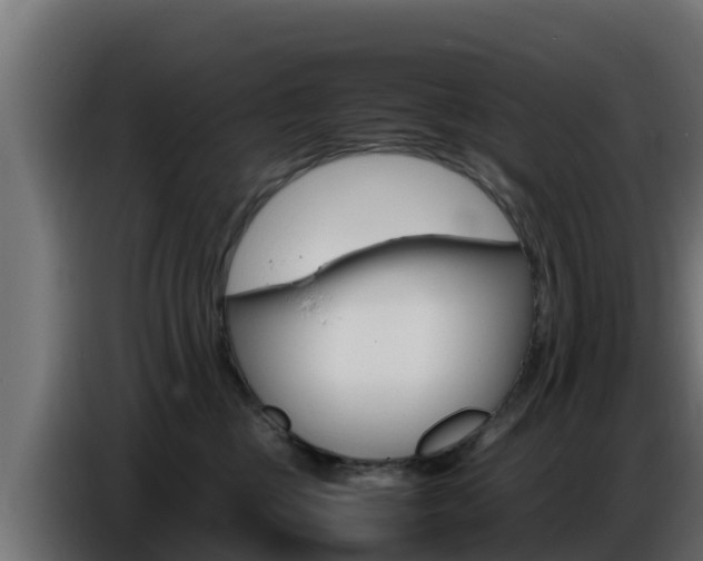 X0000086770377200704130842