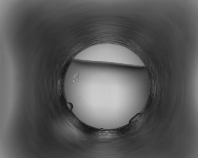 X0000086770378200704130842