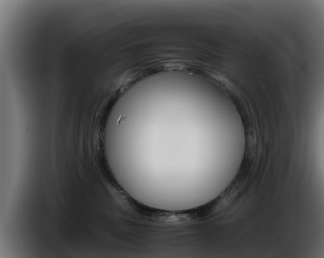 X0000086770379200704130842