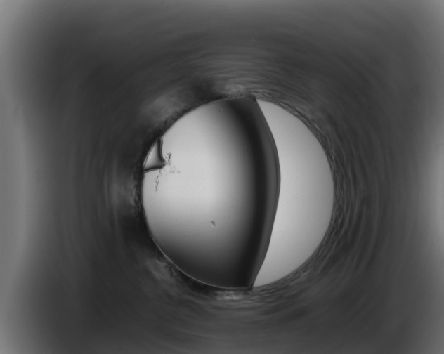 X0000086770380200704130842