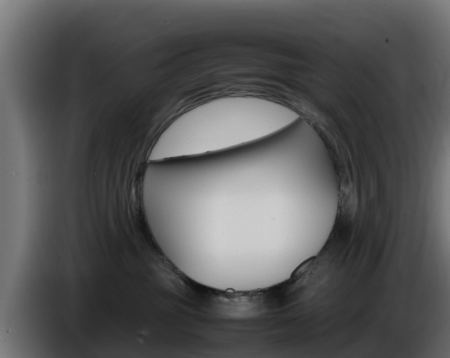 X0000086770381200704130842