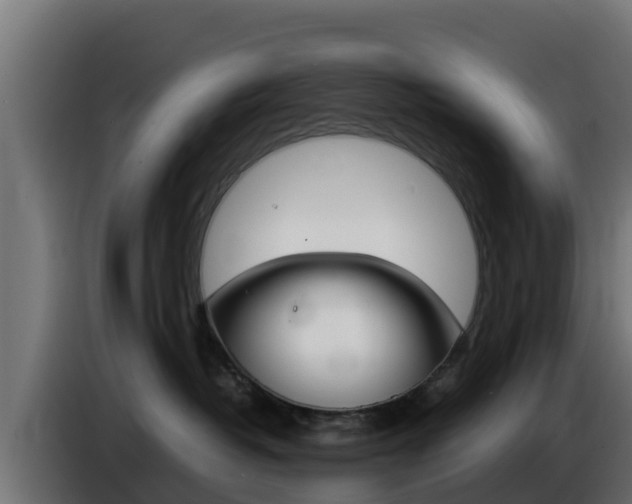 X0000086770382200704130842