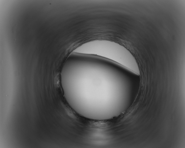 X0000086770383200704130842