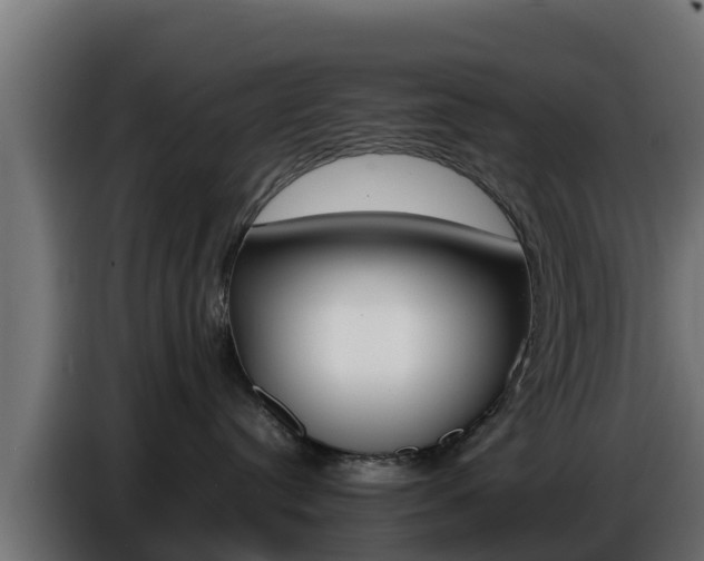 X0000086770384200704130842