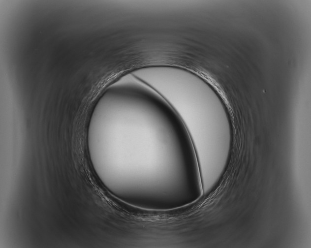 X0000086770385200704130841