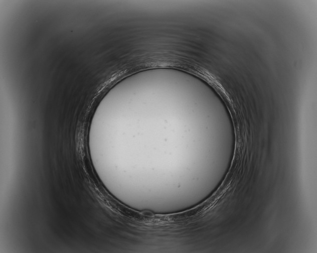 X0000086770386200704130841