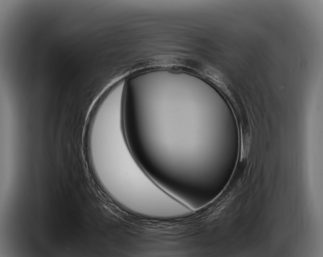 X0000086770387200704130841