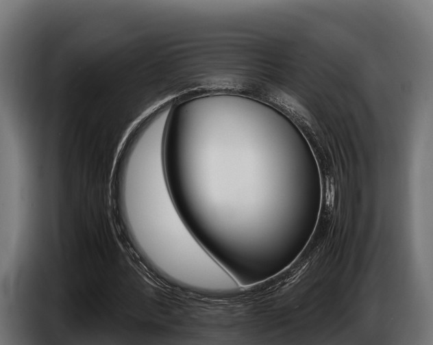 X0000086770388200704130841