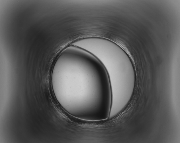 X0000086770389200704130841