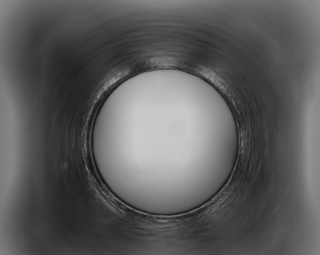 X0000086770390200704130841