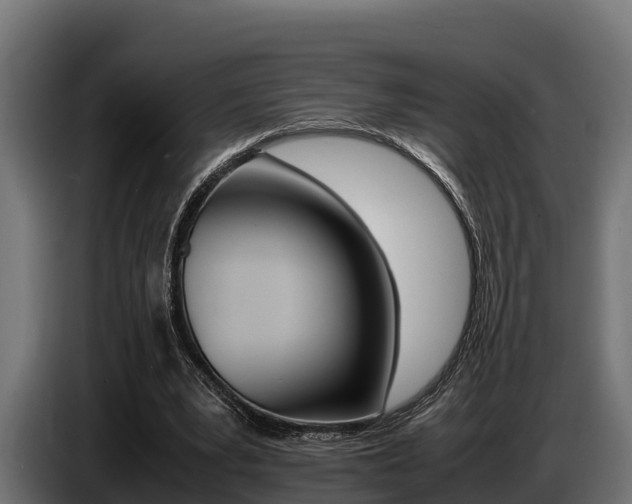 X0000086770391200704130841