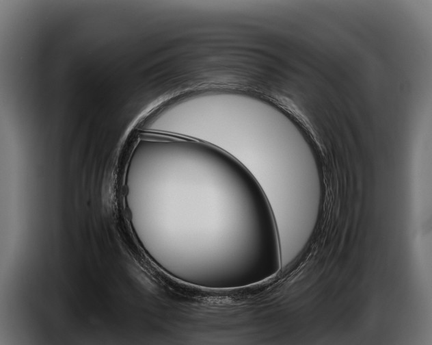 X0000086770392200704130841