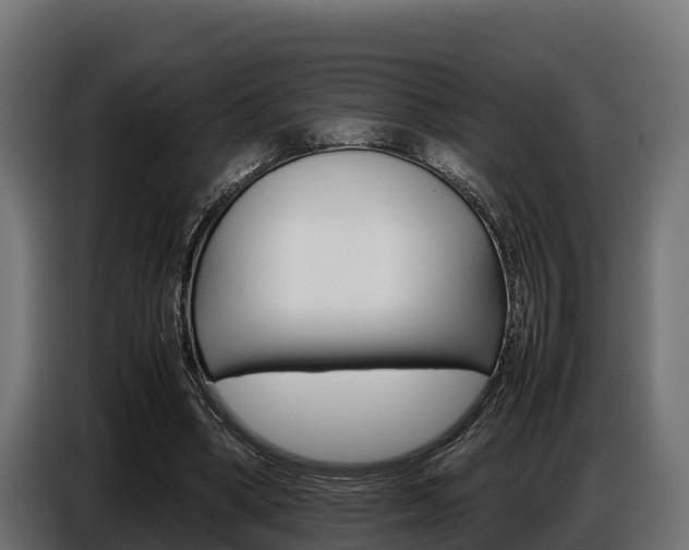 X0000086770394200704130841