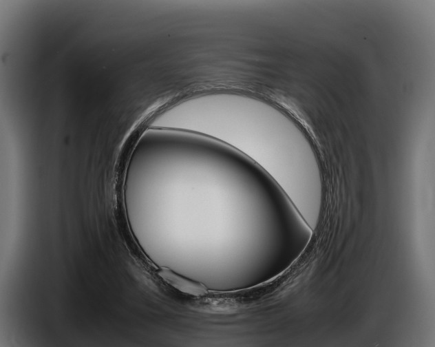 X0000086770395200704130841