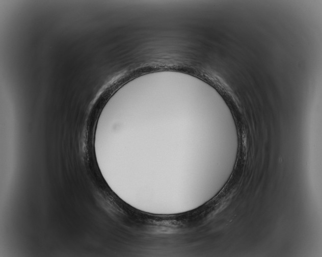 X0000086770396200704130841