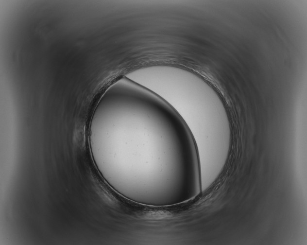 X0000086770397200704130841