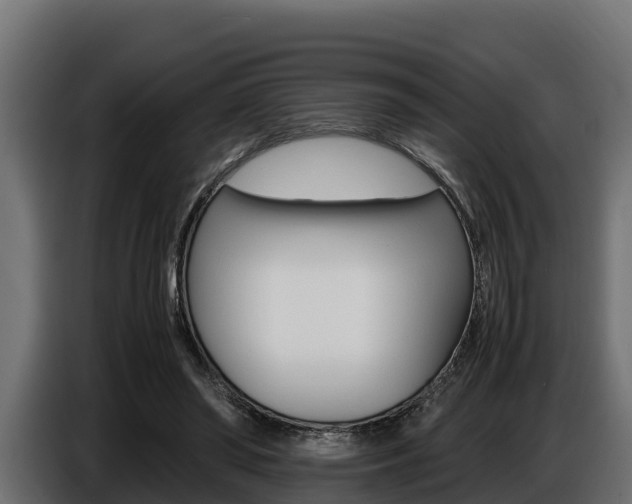 X0000086770398200704130841