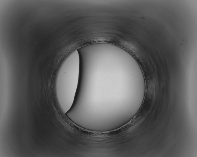 X0000086770402200704130841