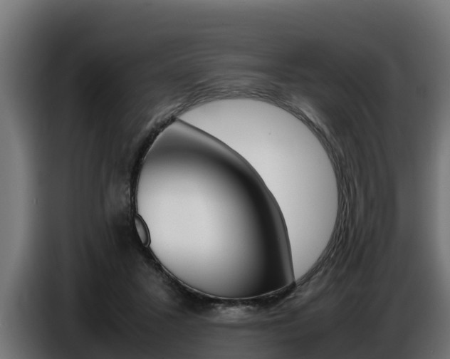 X0000086770407200704130841