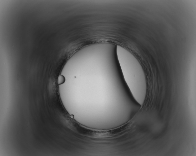 X0000086770410200704130841