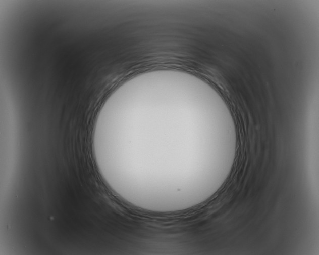 X0000086770411200704130841