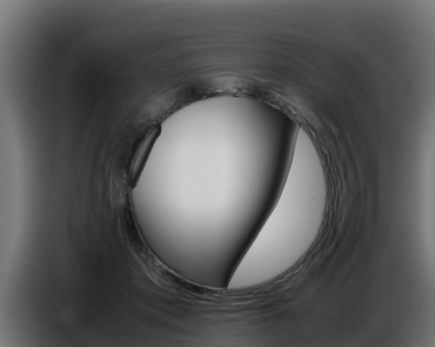 X0000086770413200704130841