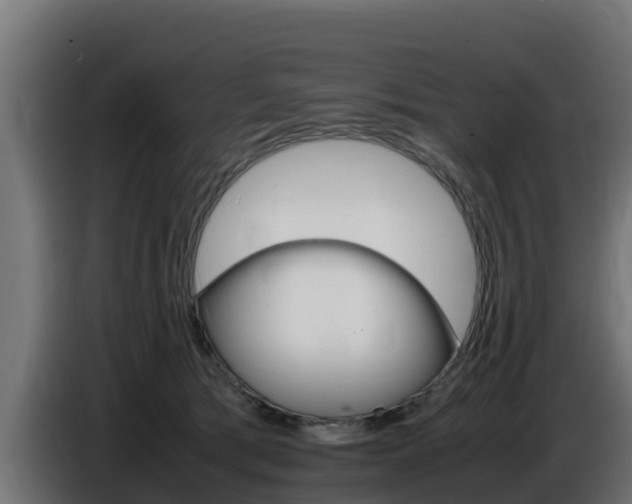 X0000086770417200704130841