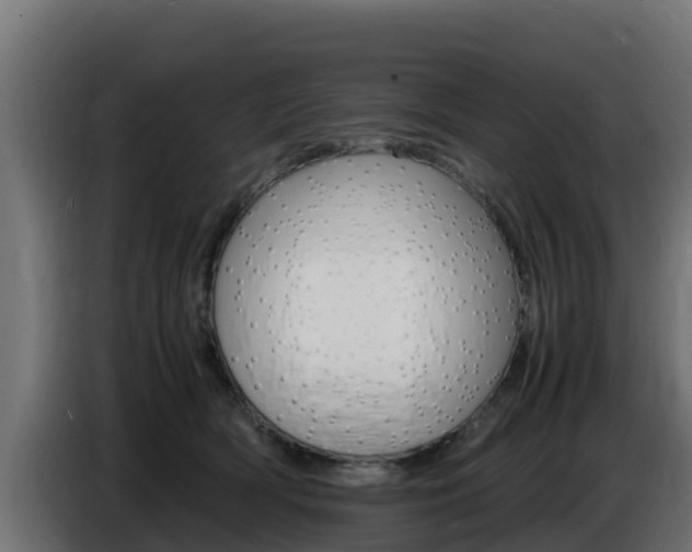 X0000086770418200704130841
