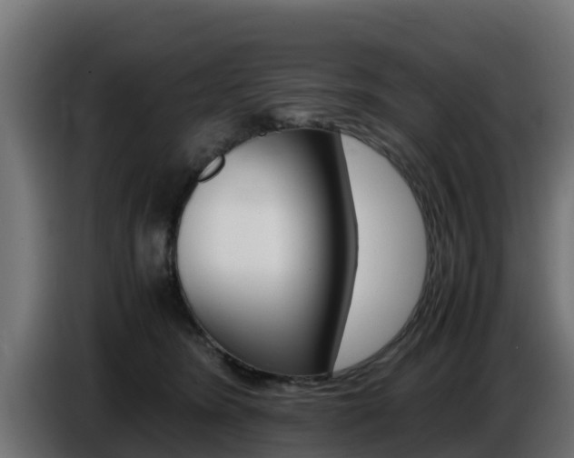 X0000086770420200704130841