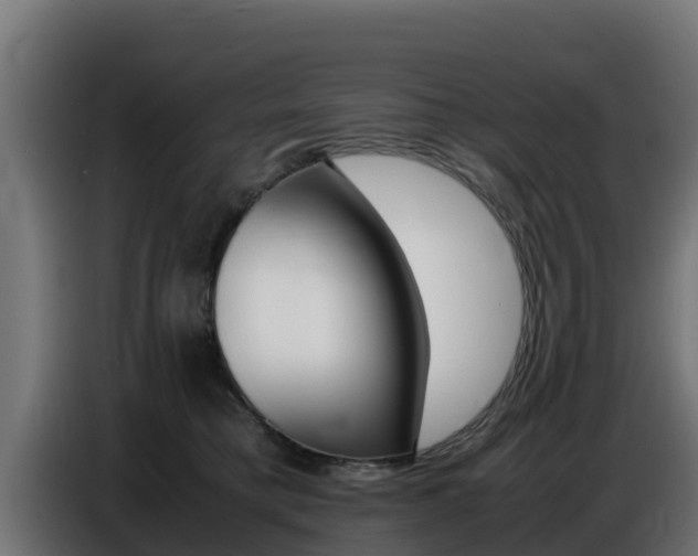 X0000086770421200704130841