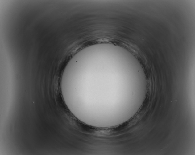 X0000086770422200704130841