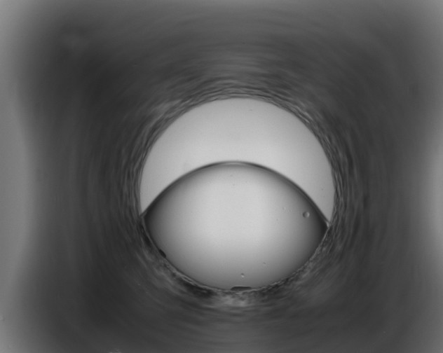 X0000086770423200704130841