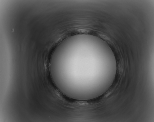 X0000086770424200704130841