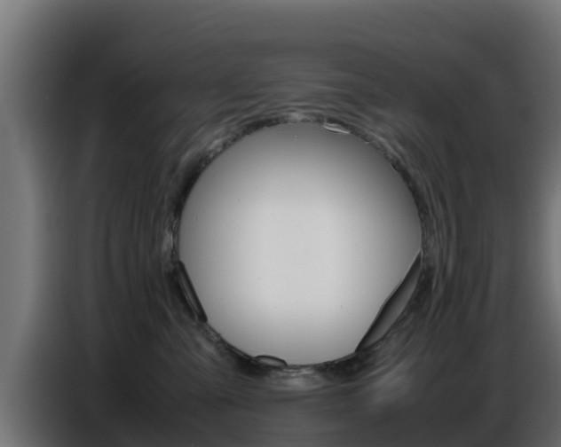 X0000086770427200704130841