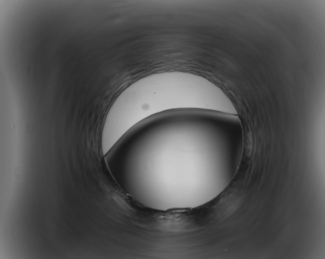 X0000086770428200704130841