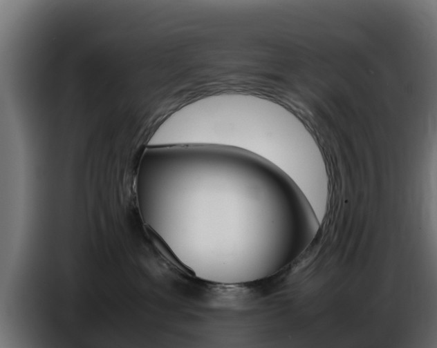 X0000086770429200704130841