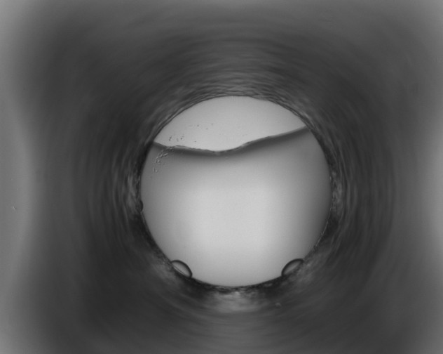 X0000086770430200704130841
