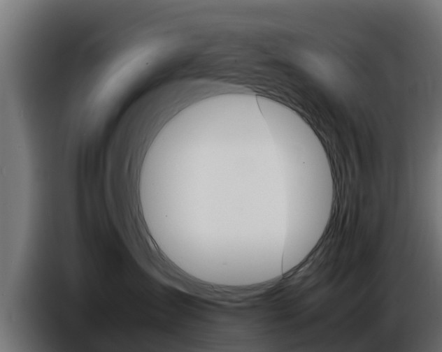 X0000086770431200704130841