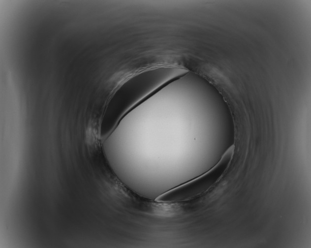 X0000086770432200704130841
