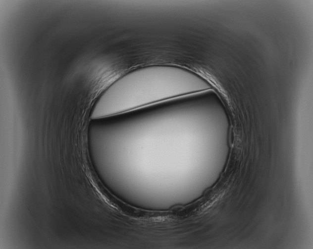 X0000086770433200704130840